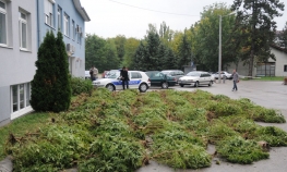 Oduzeli drogu vrijednosti oko 2,5 miliona KM