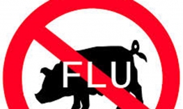 Virus svinjske gripe ponovo je prisutan u BiH