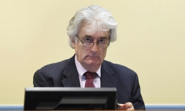 Janković: Kriminalistička obrada, a ne zločini
