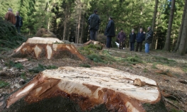 Šumokradice iz BiH među najaktivnijima