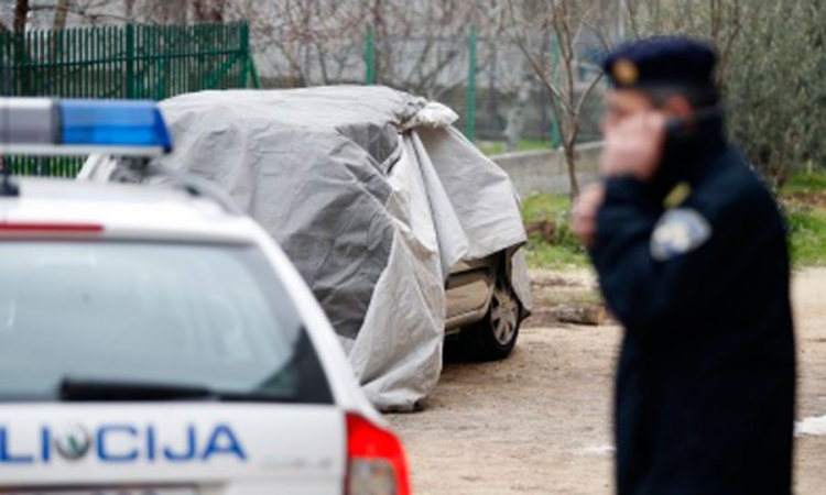 Zaplijenjena droga, laboratorija za uzgoj marihuane, oružje, pečati sudova
