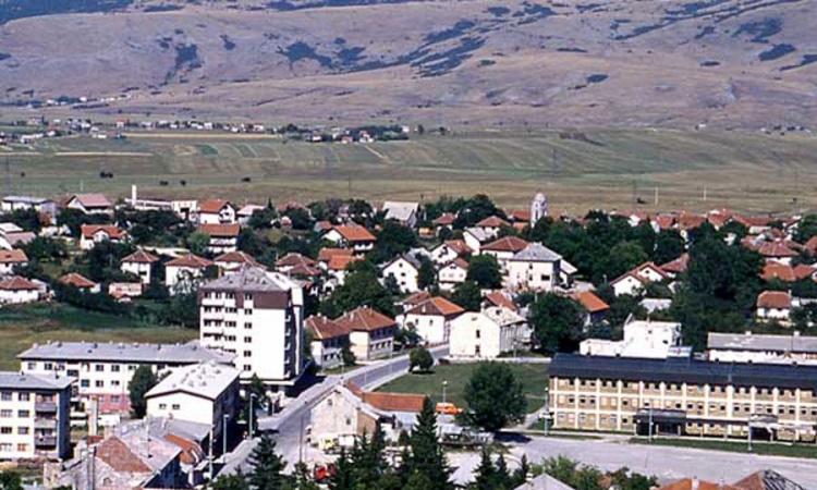U Glamoču truju napuštene životinje