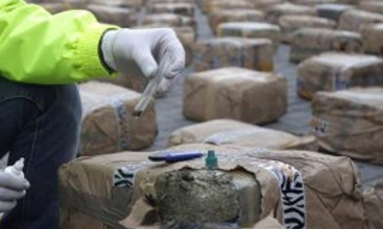 Zaplijenjeno 500 kg smole kanabisa