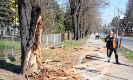 Banjalučanin teže povrijeđen nakon udara golfom u drvo