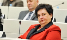 Majkić: SNSD svoje stavove gradi sam