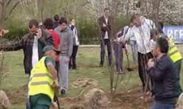 Šesnaest stabala za ugašene živote radnika