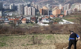 Urbana poljoprivreda cvjeta u Sarajevu