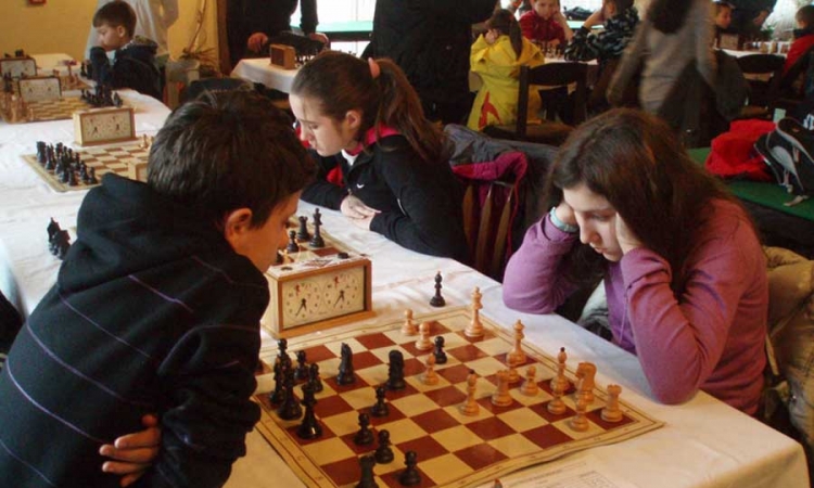 U Banjaluci aktivno 240 sportskih organizacija