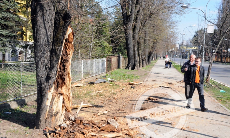 Banjalučanin teže povrijeđen nakon udara golfom u drvo