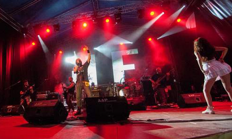 Žiri bira 30 bendova za "Jelen Demofest"