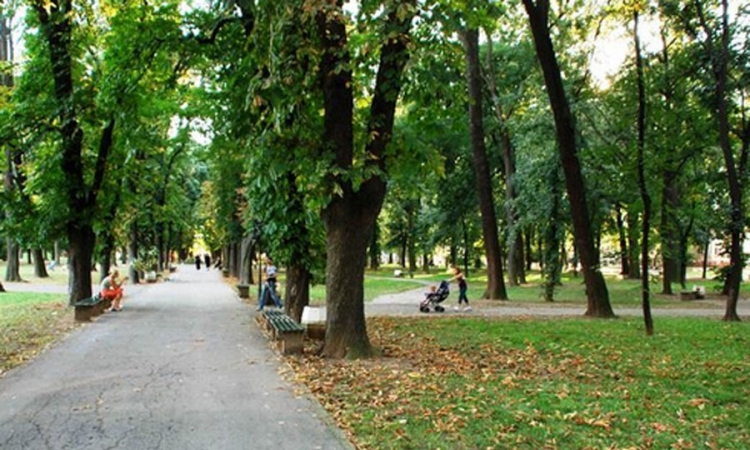 Led rasvjeta u tri ulice i gradskom parku u Bijeljini