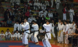 Počeo memorijalni karate turnir u Novom Gradu