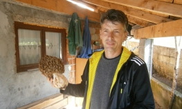 Ubran "džinovski" smrčak od 930 grama