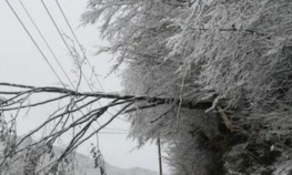 Na Žabljaku 25 centimetara snijega