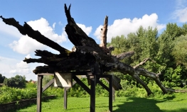 Završeni radovi na osvjetljenju "Topole užasa"