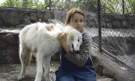 Roditelji će tužiti Zoo-vrt, ne razmišljaju o svojoj (ne)odgovornosti