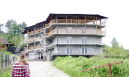 Pao banjalučki zelenaš Brus Li