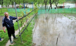 Sjeme zbog vlage propada pod zemljom