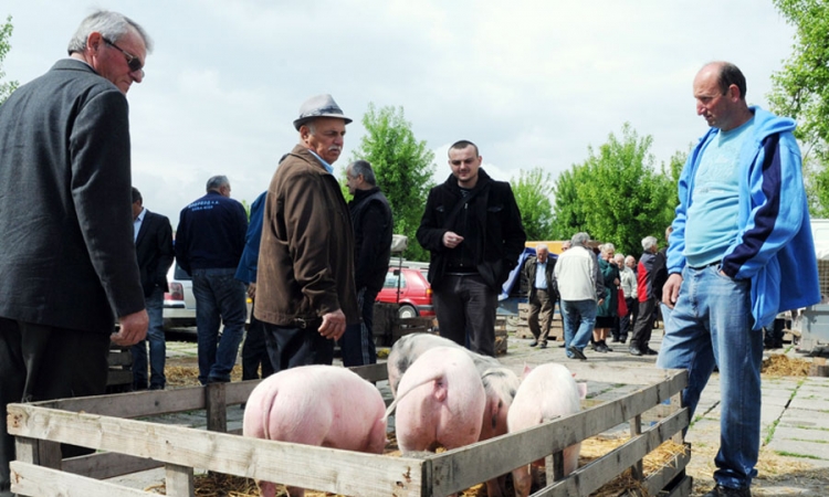 Stotinu KM za najjeftinije prase
