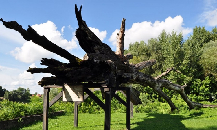 Završeni radovi na osvjetljenju "Topole užasa"