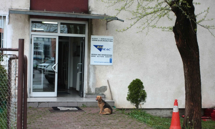 Direktor BH MAC osumnjičen da je ucjenjivao, te namještao tendere