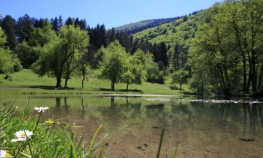U Sarajevu konačno pravi proljećni dan