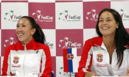 Jelena i Ana pale, Bojanin napredak