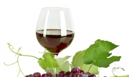 Amerikanci kupuju najviše vina