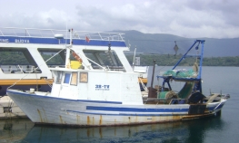 Državljanin BiH pokušao da ukrade brod