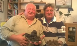 Pronašao tartufe u blizini mora