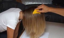 Nekoliko djece zaraženo vaškama
