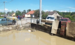 U Šamcu se pojavile zmije otrovnice