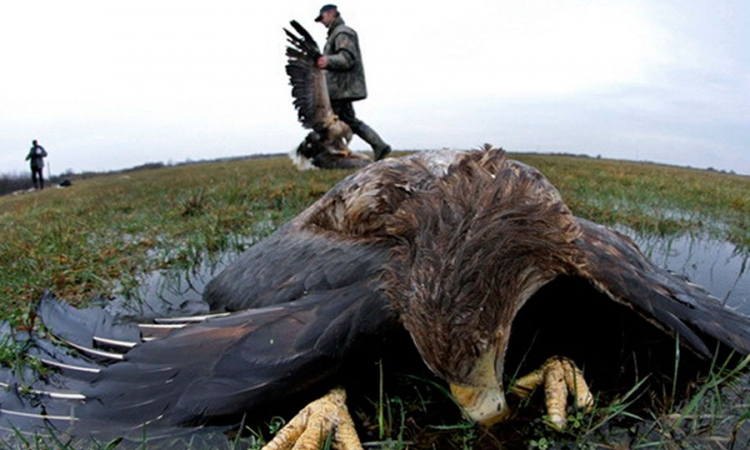 U RS nema spornog pesticida