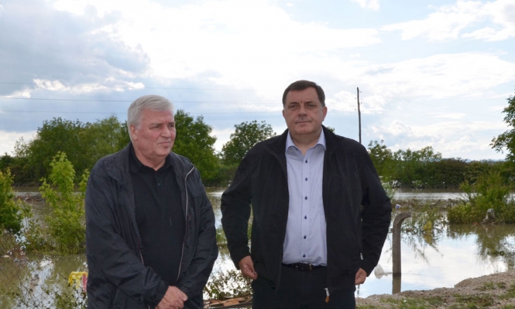 Pavić: Veliki broj uginulih životinja