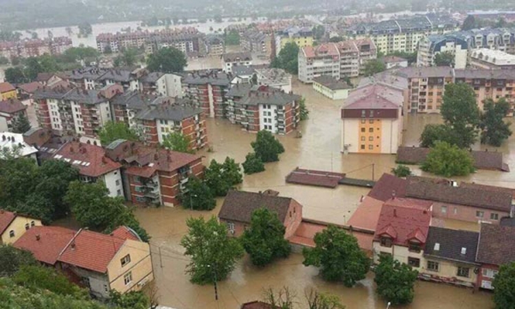 Poslije poplava opasnost od komaraca, glodara, žutice ...