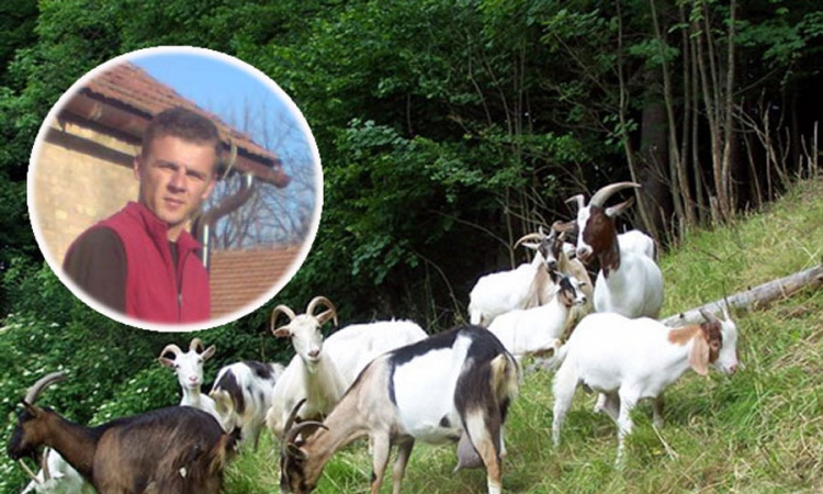 Veterinar iz Visokog: Od 20 koza zaradim 2.000 KM
