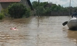 Najviše stoke stradalo u Šamcu