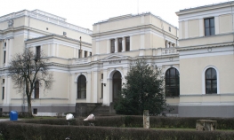 Finci: U Zemaljskom muzeju BiH ima mnogo kršenja zakona