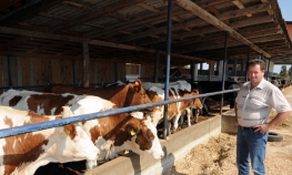 Stočne hrane nema, farmeri u panici