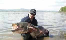 Tuzlak ulovio soma od 80 kilograma