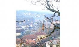 Stanari traže podršku poslanika