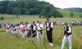 Kosci se okupljaju na Balkani