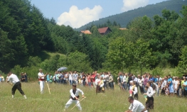 Najbolji kosac Mladen Tomić
