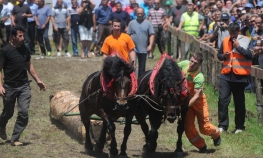 Štraparijada u Dragočaju: Publika uživala u ljepoti i snazi konja