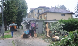Vjetar srušio stablo na kiosk u Banjaluci