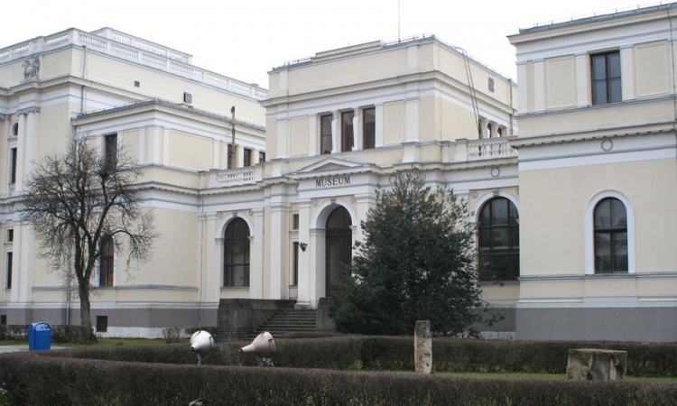 Finci: U Zemaljskom muzeju BiH ima mnogo kršenja zakona