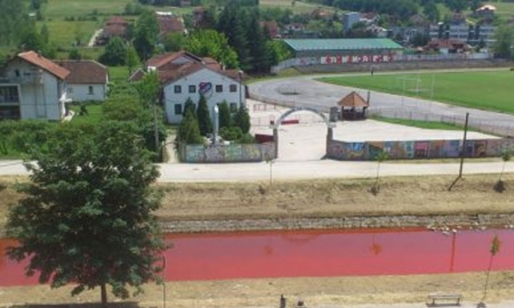Rijeka Despotovica crvena zbog kišne kanalizacije
