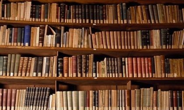  Srpčani prikupljaju knjige za poplavljene biblioteke