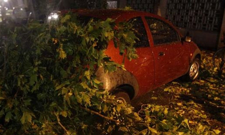  Najmanje šest osoba poginulo u nevremenu u Njemačkoj