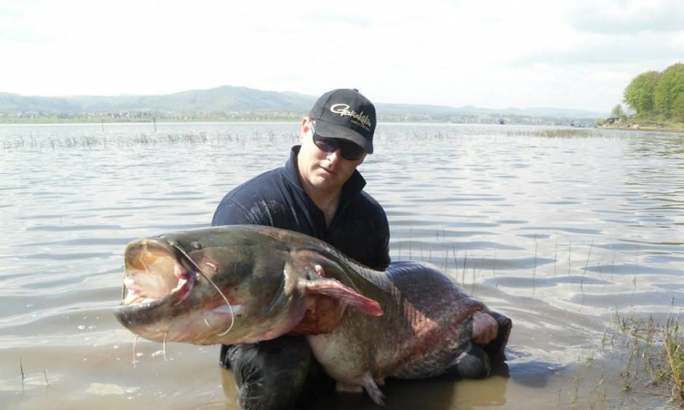 Tuzlak ulovio soma od 80 kilograma